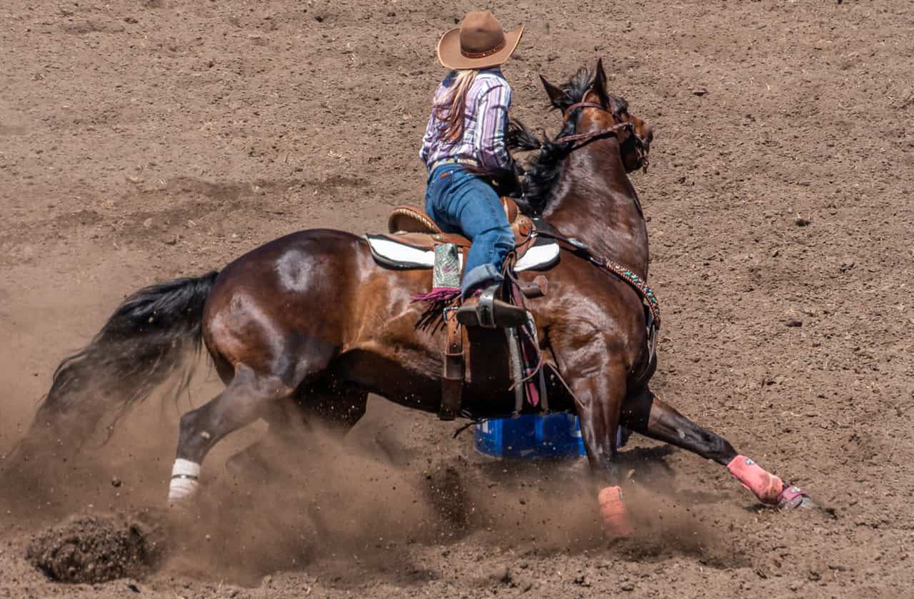 Barrel racing lifestyle